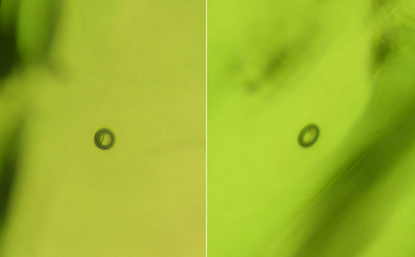 inclusions bulles air dans verre artificiel