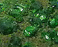 grenat ouvarovite